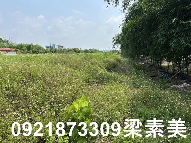 嘉義大林農地-1