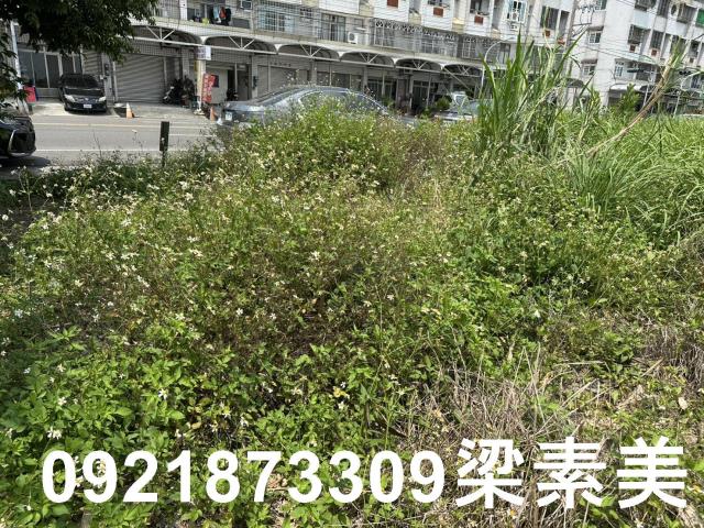 嘉義大林農地-2