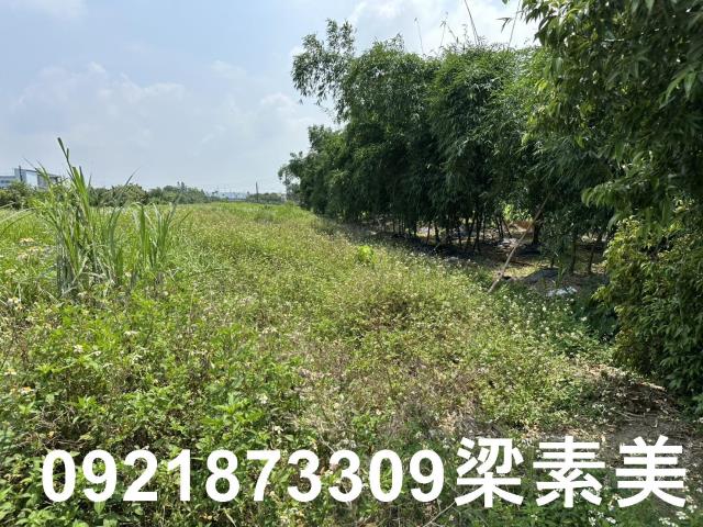 嘉義大林農地-4