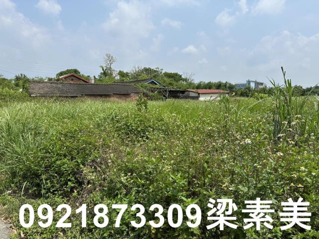 嘉義大林農地-5