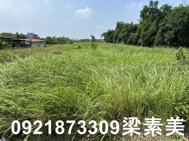 嘉義大林農地-7