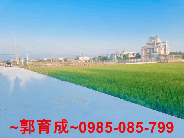 嘉義水上農地-5