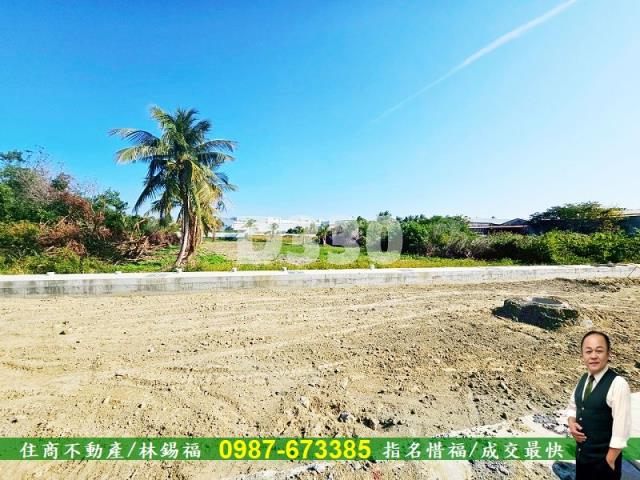 台南農地-10