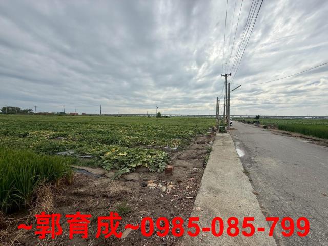 嘉義新港農地-1