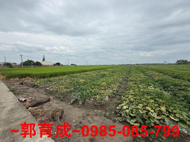 嘉義新港農地-3