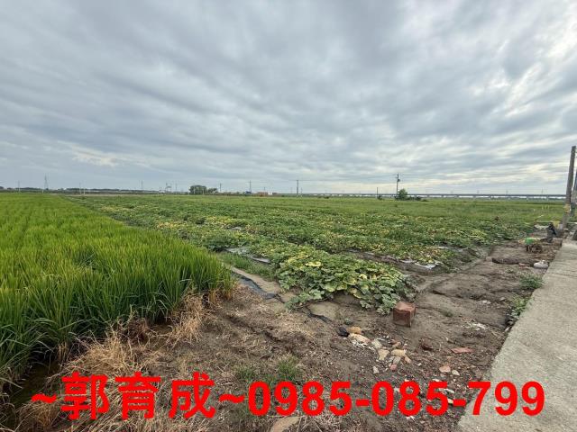 嘉義新港農地-4