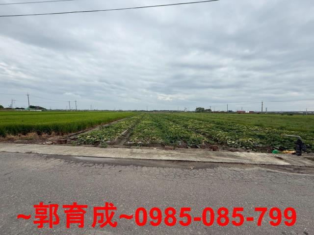 嘉義新港農地-6