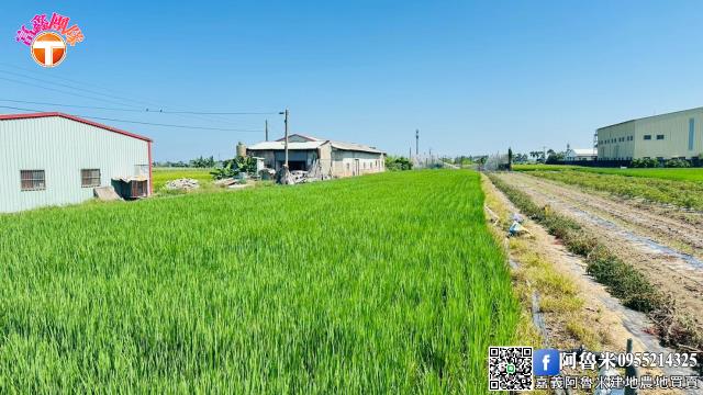 嘉義農地-5