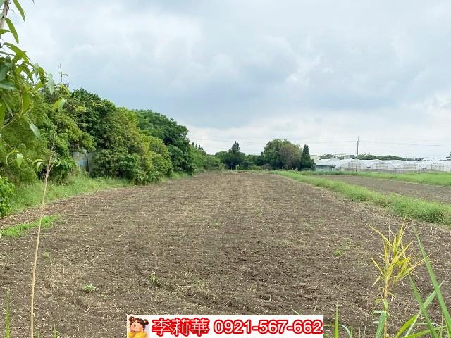 嘉義新港農地-10