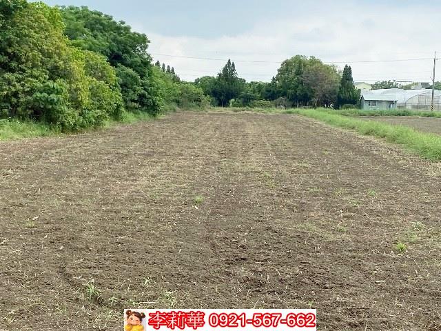 嘉義新港農地-11