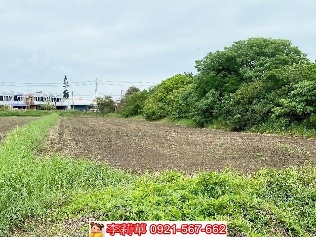 嘉義新港農地-12