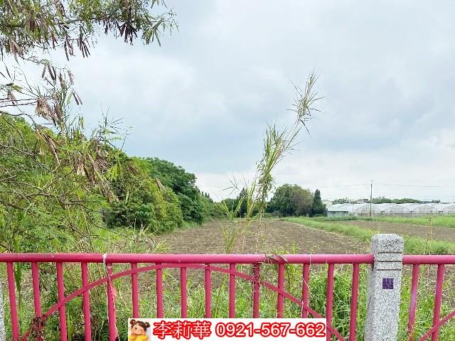 嘉義新港農地-5