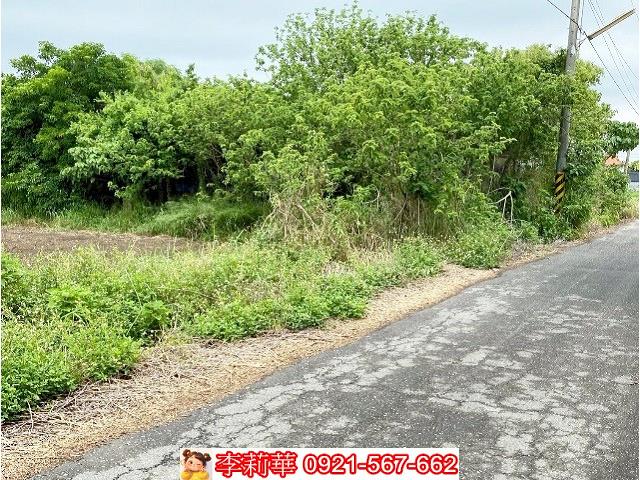 嘉義新港農地-7