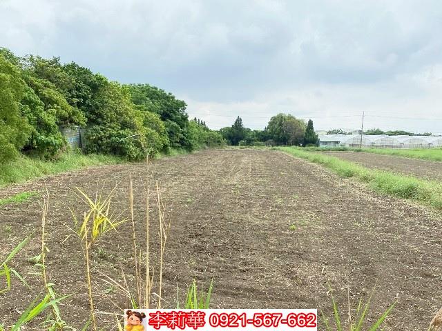 嘉義新港農地-9