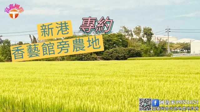 嘉義新港農地-1