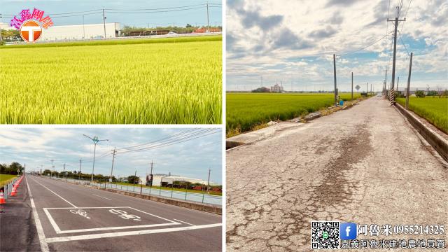 嘉義新港農地-5