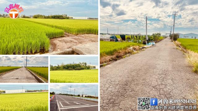 嘉義新港農地-6