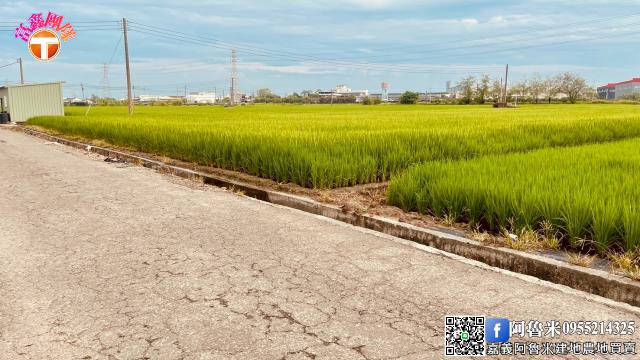 嘉義新港農地-7