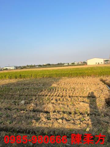 嘉義民雄農地-1