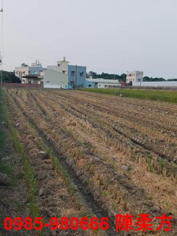 嘉義民雄農地-5