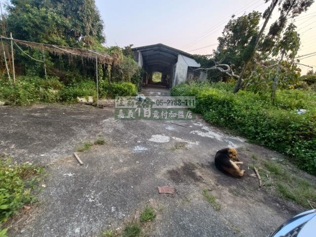 嘉義中埔農地-1