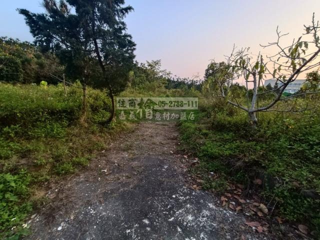 嘉義中埔農地-2