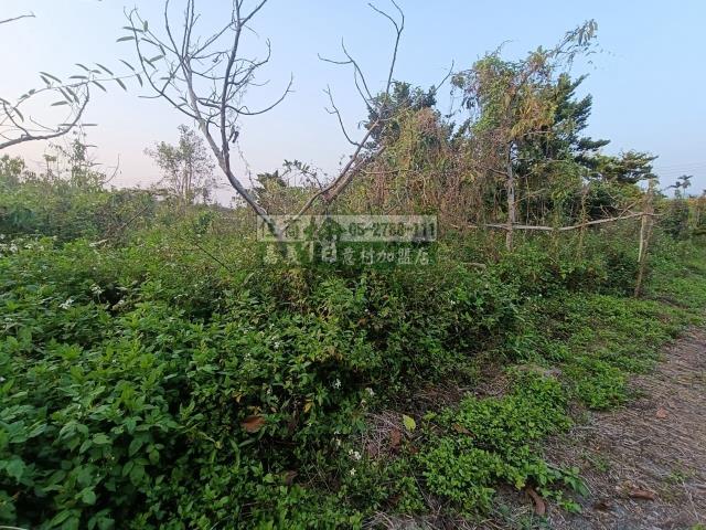 嘉義中埔農地-6