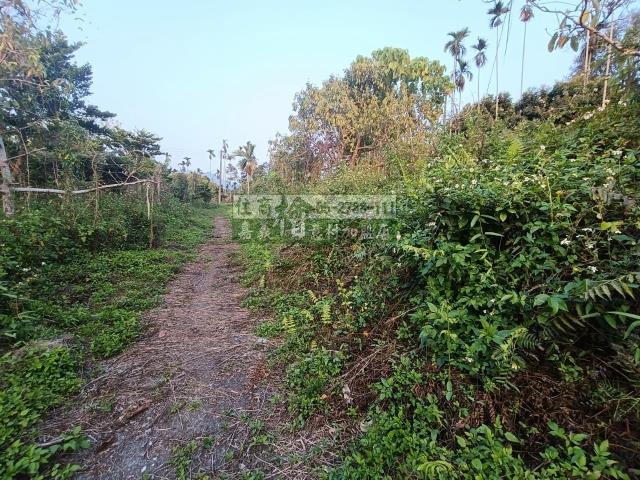 嘉義中埔農地-7