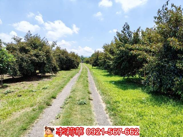 台南大內農地-3