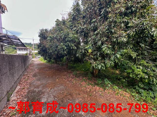 嘉義農地-10