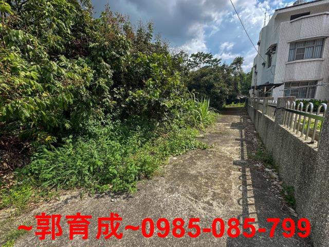嘉義農地-2