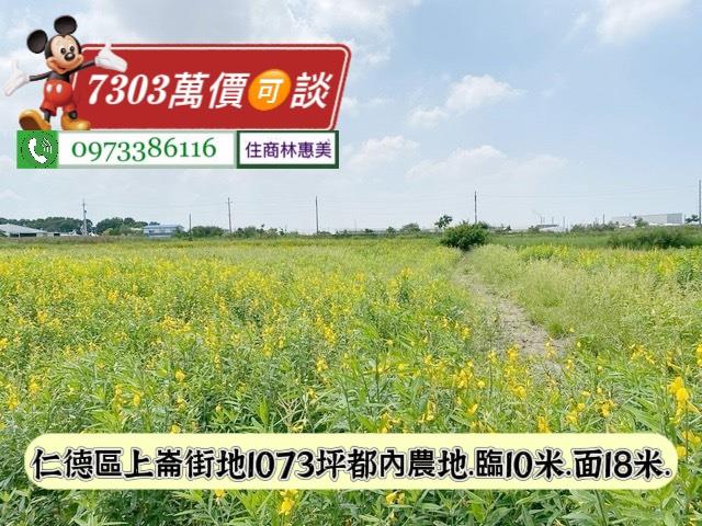 台南仁德農地-3