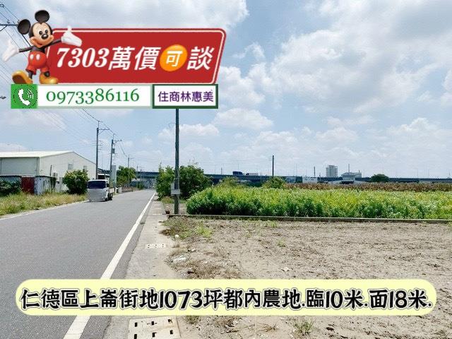 台南仁德農地-4