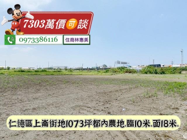 台南仁德農地-5