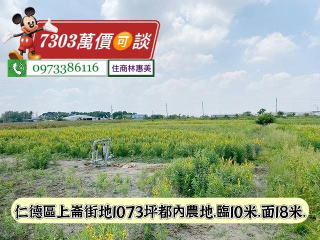 台南仁德農地-7