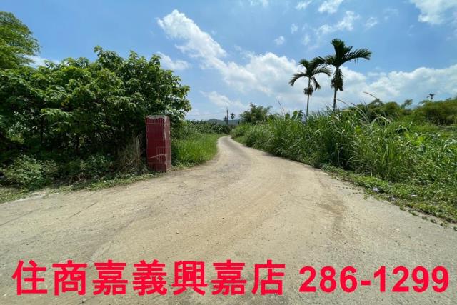 嘉義農地-10
