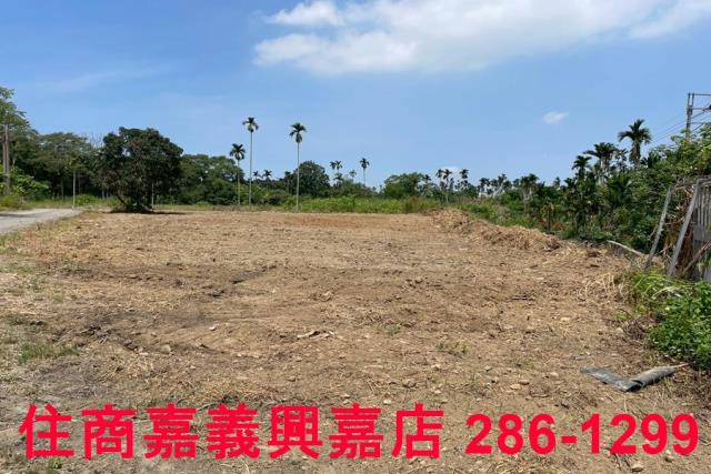 嘉義農地-9