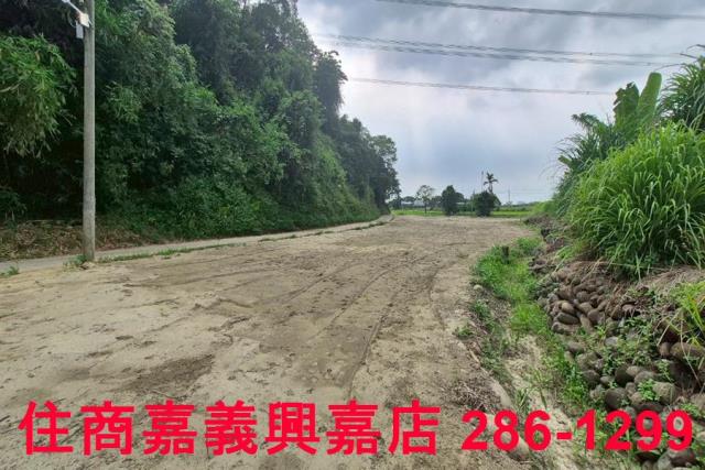 嘉義農地-6