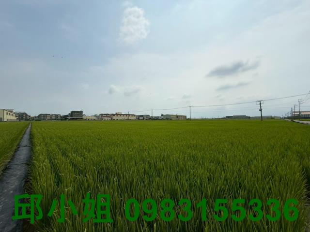 嘉義太保農地-1