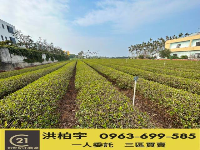 南投名間農地-1