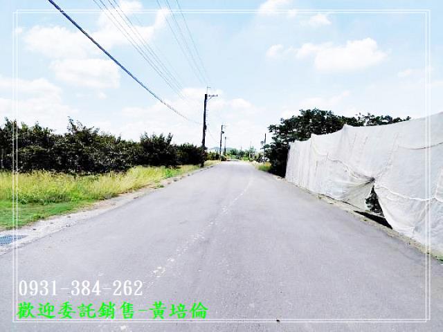 大內區牛奶果園大農地