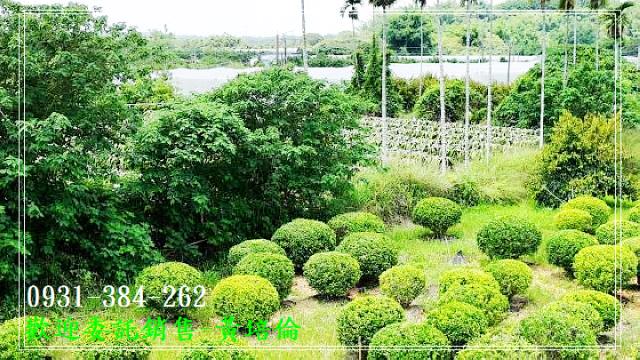 台南培倫房屋土地王