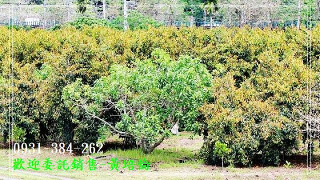 H。蝸牛居黃培倫