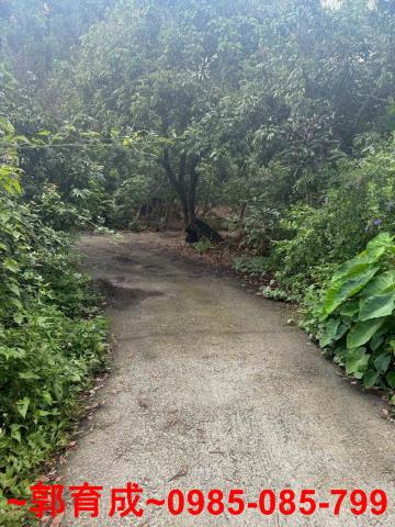 嘉義農地-12