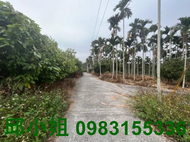 嘉義中埔農地-2