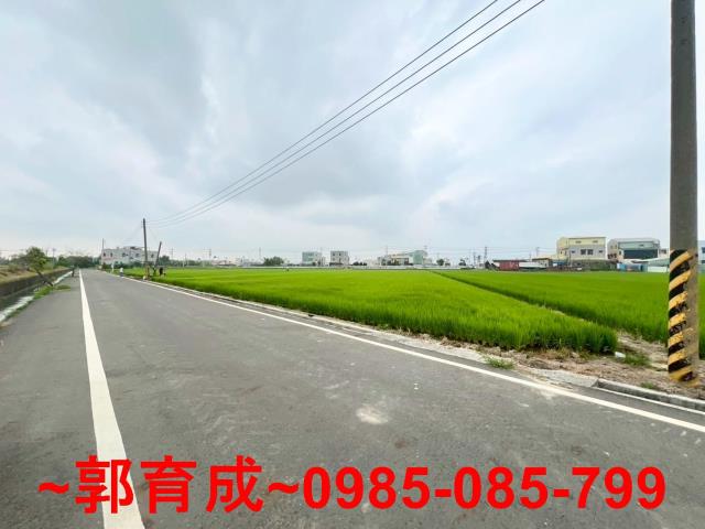 嘉義新港農地-2