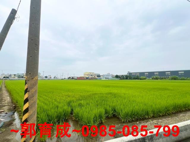 嘉義新港農地-5