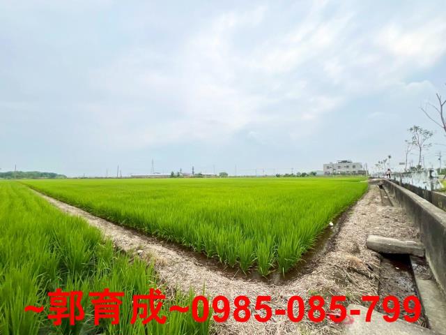 嘉義新港農地-6