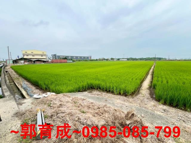 嘉義新港農地-1