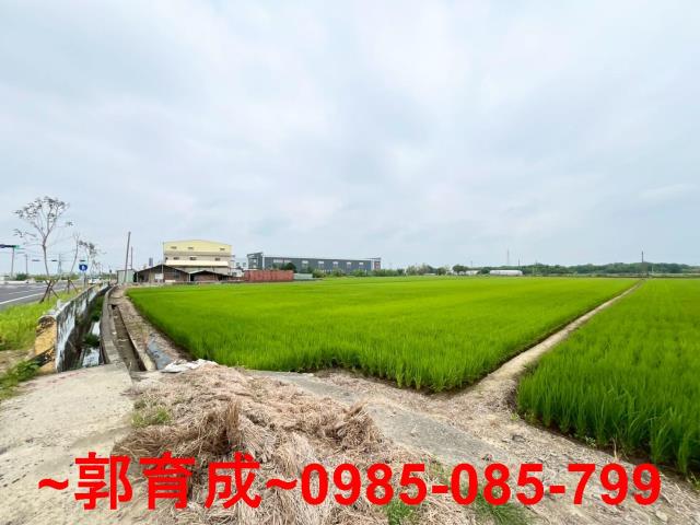 嘉義新港農地-8
